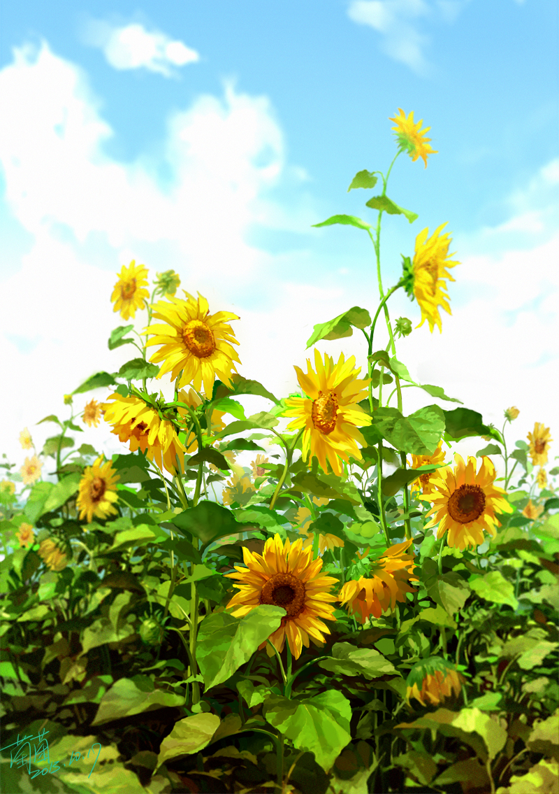 blue_sky, clouds, flower, leaf, nature, no_humans, original, outdoors, realistic, scenery, signature, sky, sunflower, zishanjiang
