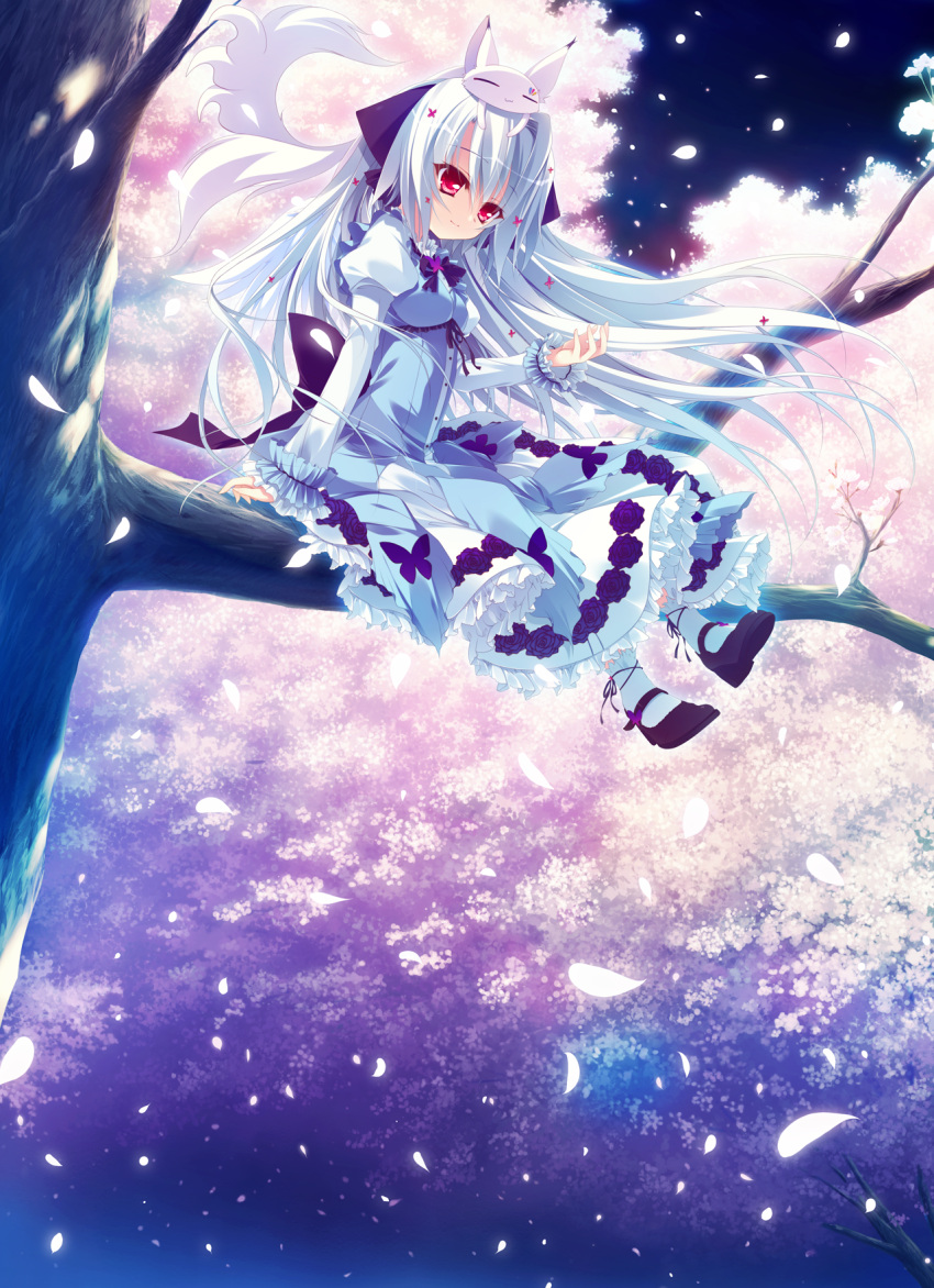 1girl, animal_on_head, blue_hair, butterfly_print, cherry_blossoms, cherry_trees, closed_mouth, dress, floral_print, forest, fox, frills, hair_ribbon, highres, in_tree, izumi_tsubasu, koi_ga_saku_koro_sakura_doki, long_hair, long_sleeves, nature, night, open_eyes, puffy_sleeves, purple_bow, purple_ribbon, red_eyes, ribbon, sitting, sitting_in_tree, smile, socks, solo, tina_(koi_ga_saku_koro_sakura_doki), tree, tree_branch, white_dress, white_hair, white_legwear, younger, |3