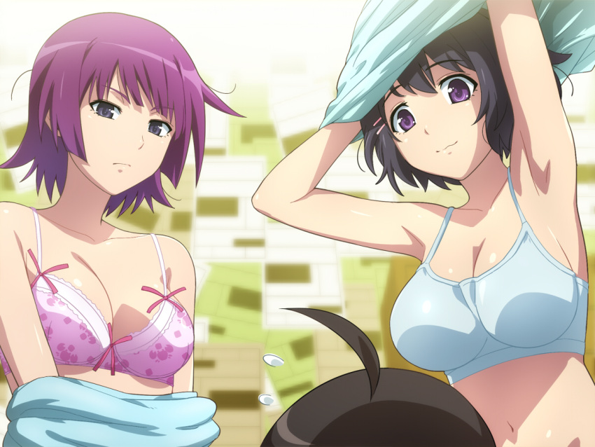 1boy, 2girls, ahoge, araragi_koyomi, arms_up, bakemonogatari, black_hair, blue_eyes