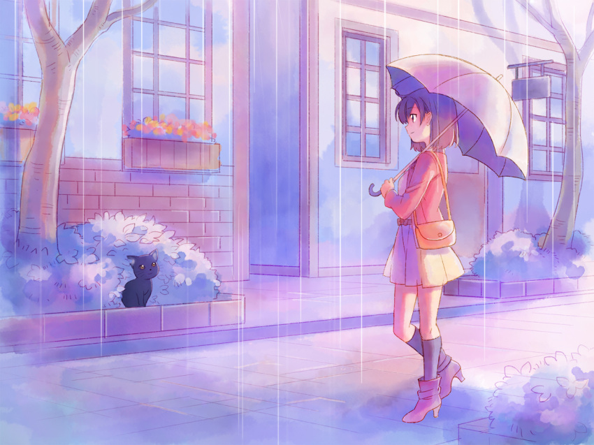 1girl, brown_eyes, brown_hair, cat, original, rain, shati, short_hair