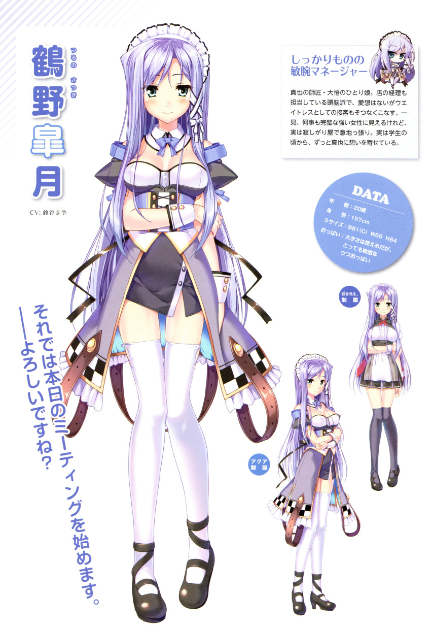 1girl, absurdres, aozora_stripe, blue_hair, blush, bowtie, character_chart, detached_collar
