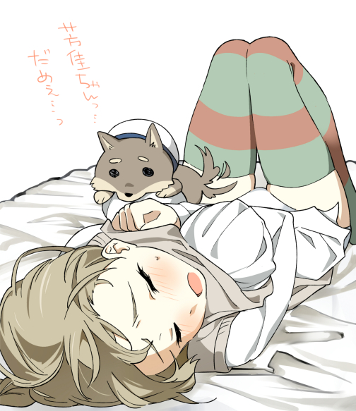 1girl, bed, bed_sheet, blush, braid, brown_legwear, dog, ears, green_legwear, hat, knees_together_feet_apart, kuji_kanesada, long_hair, lynette_bishop, open_mouth, panties, shiba_inu, shirt, simple_background, sleeping, strike_witches, striped, striped_legwear, sweat, sweatdrop, tail, tail_wagging, thigh-highs, translation_request, underwear, vest, vest_lift, white_background, white_panties, white_shirt