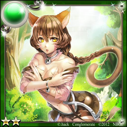 .hack//, .hack//link, 1girl, 2012, animal_ears, box_(hotpppink), bracelet, braid
