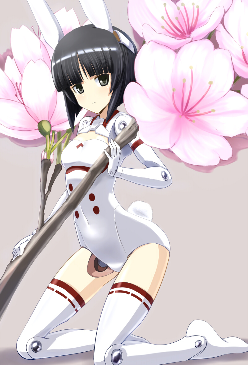 animal_ears, asuka_(busou_shinki), black_hair, bob_cut, bunny_tail, busou_shinki, cherry_blossoms, doll_joints, grey_eyes, kneeling, light_smile, rabbit_ears, tail, thigh-highs, tora_(huuunnji)