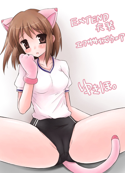 bloomers, blush, brown_eyes, brown_hair, gloves, nekomimi, pe_uniform, short_hair