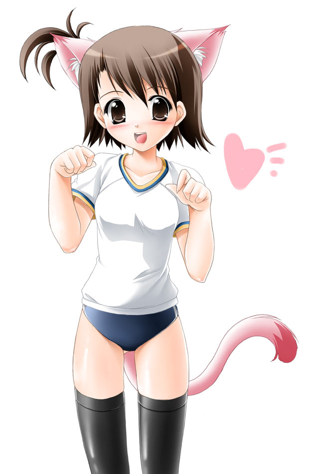 ami_futami, bloomers, blush, brown_eyes, brown_hair, buruma, cat_ears, futami_ami