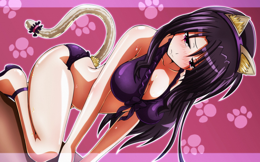 1girl, animal_ears, bikini, black_hair, blush, cat_ears, cat_tail, highres, long_hair, lyrical_nanoha, mahou_shoujo_lyrical_nanoha, precia_testarossa, red_eyes, solo, swimsuit, tail, tappa_(esperanza)