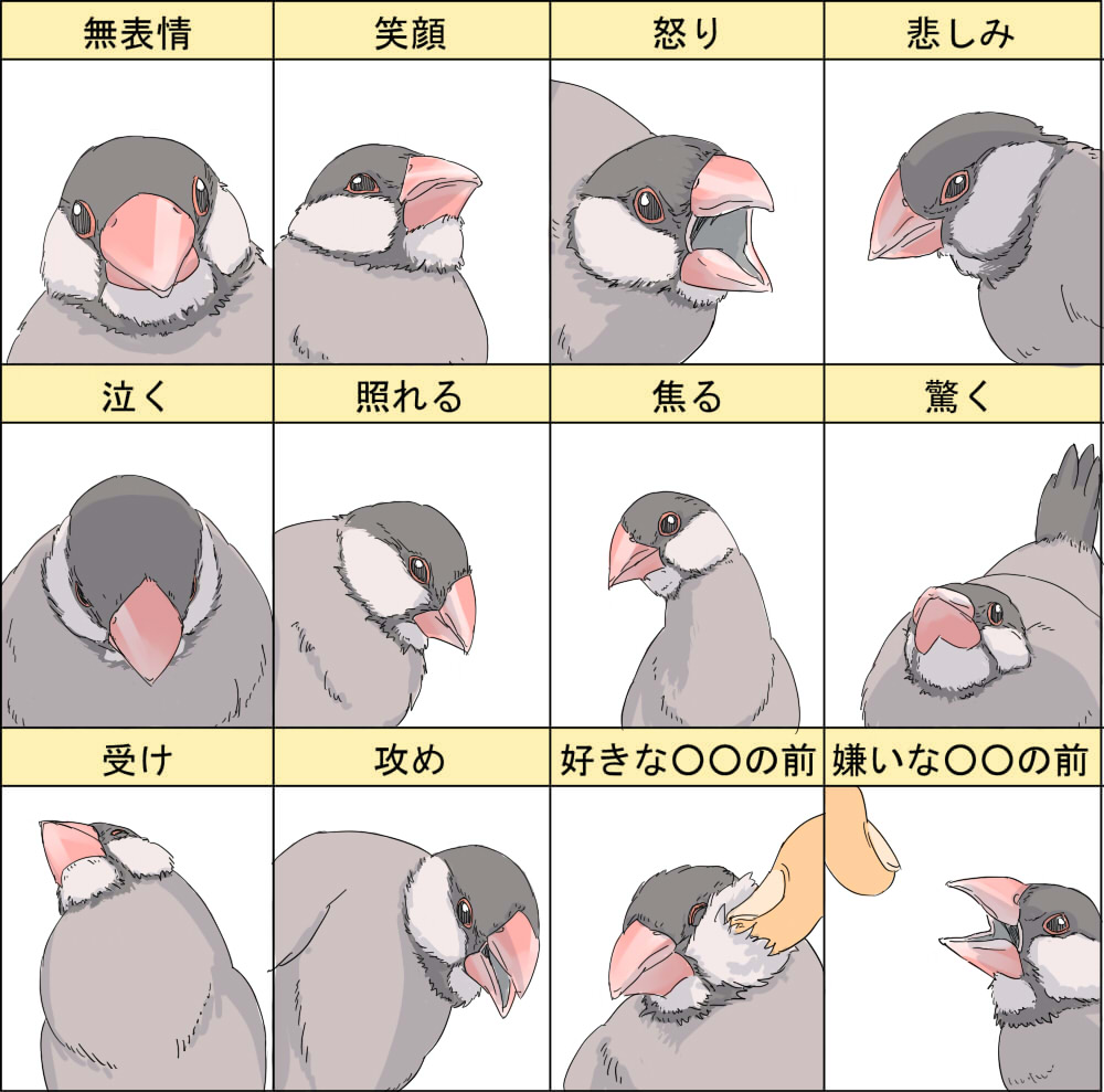 bird, cheek_poke, expressions, ma_(2ql), original, poking