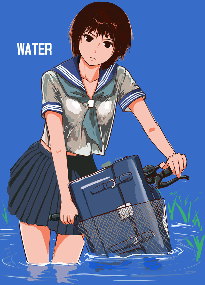 1girl, bag, basket, bicycle, black_eyes, brown_hair, frown, grass