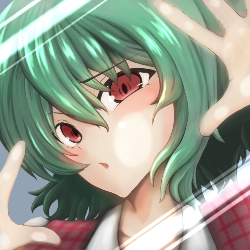 1girl, against_fourth_wall, blush_stickers, dress, fourth_wall, green_(midoriryuu), green_hair, kazami_yuuka