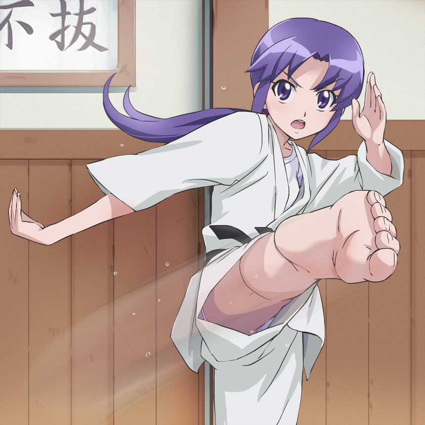 1girl, barefoot, feet, happinesscharge_precure!, haruyama_kazunori, hikawa_iona, karate, kicking