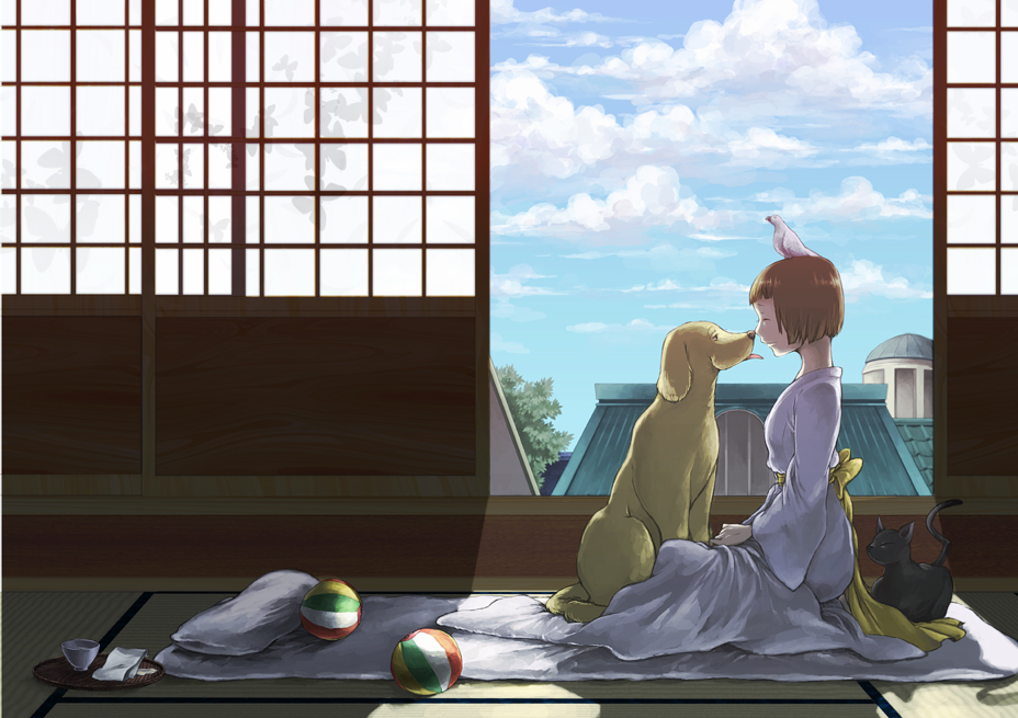 ball, bird, bowl, brown_hair, cat, cloud, clouds, dog
