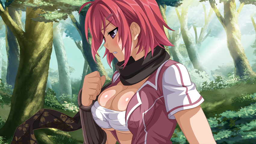 1girl, blush, breast_press, breasts, cleavage, clenched_hand, forest, game_cg
