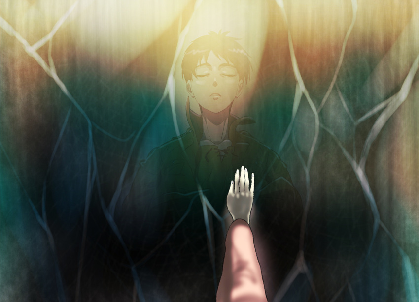 1boy, closed_eyes, crystal, dracul, eren_jaeger, hands, highres, male, pov, shingeki_no_kyojin, solo