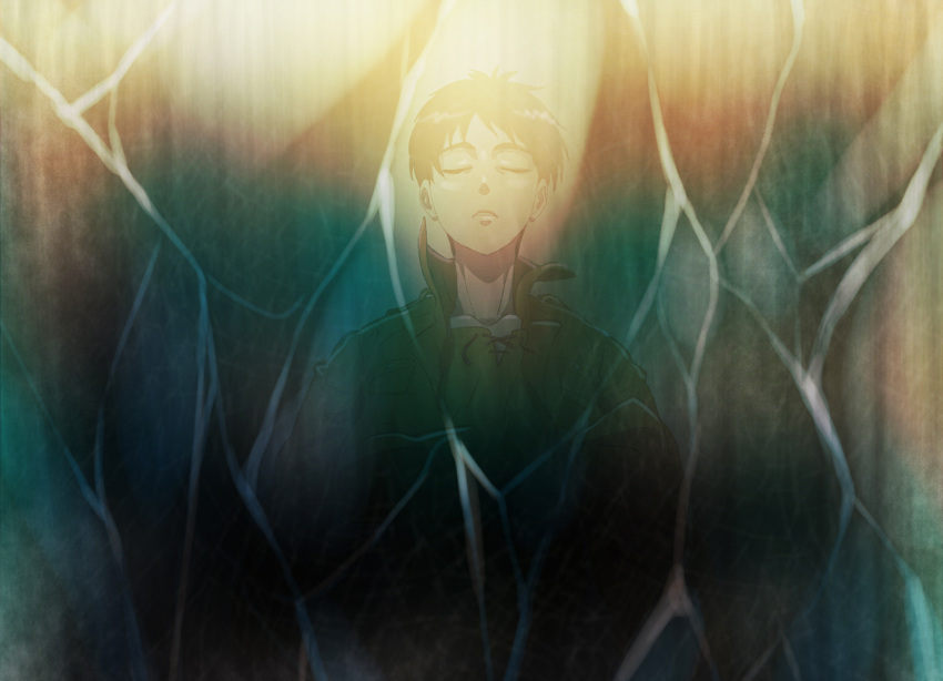 1boy, closed_eyes, crystal, dracul, eren_jaeger, highres, male, shingeki_no_kyojin
