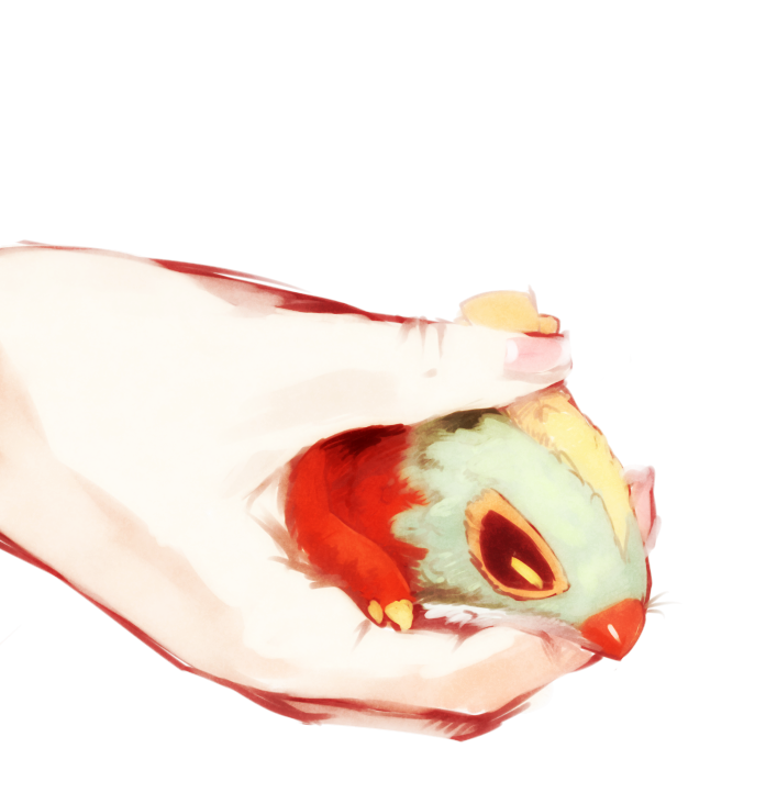 b_spa_gyoreva, hands, hawlucha, holding, pokemon, pokemon_(creature), pokemon_(game), pokemon_xy