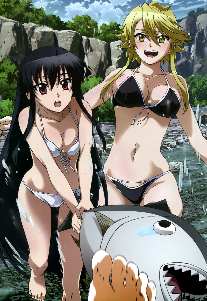 2girls, :d, :o, absurdres, akame, akame_ga_kill!, bare_shoulders, bikini