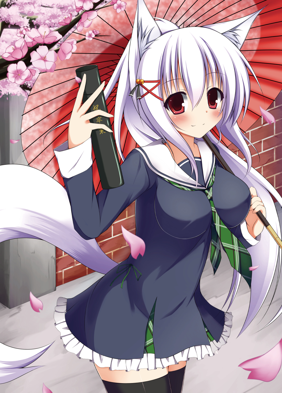 1girl, animal_ears, black_legwear, blush, breasts, cherry_blossoms, fox_ears, highres, kazamatsuri_kazari, long_hair, looking_at_viewer, mizuki_(kogetsu-tei), oriental_umbrella, original, red_eyes, solo, thigh-highs, umbrella