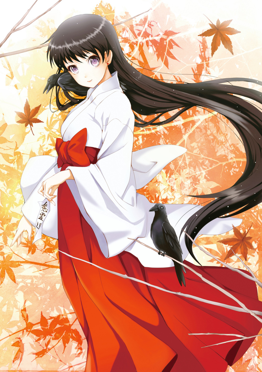 1girl, bird, bishoujo_senshi_sailor_moon, black_hair, earrings, hakama, haori, highres