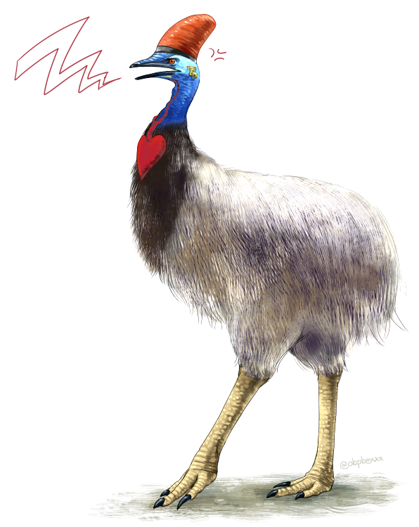 angry, animalization, bird, cassowary, hat, jojo_no_kimyou_na_bouken, obusare, parody