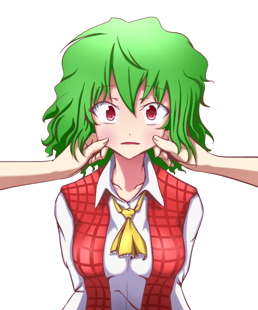 1girl, ascot, cheek_pinching, green_(midoriryuu), green_hair, highres, kazami_yuuka, pinching