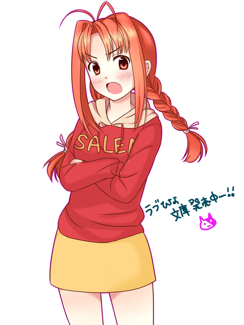 1girl, antenna_hair, blush, braid, brown_eyes, brown_hair, highres, hoodie