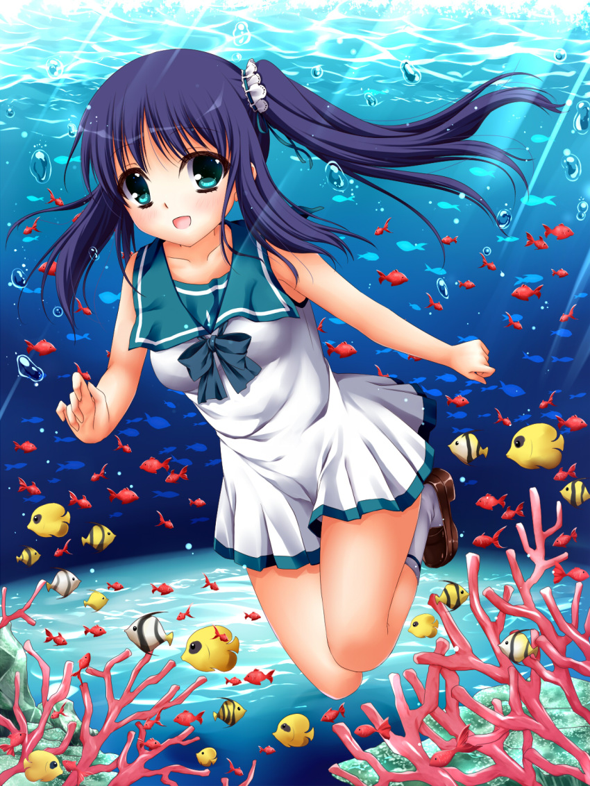 1girl, blue_eyes, blue_hair, coral, fish, highres, hiradaira_chisaki, long_hair