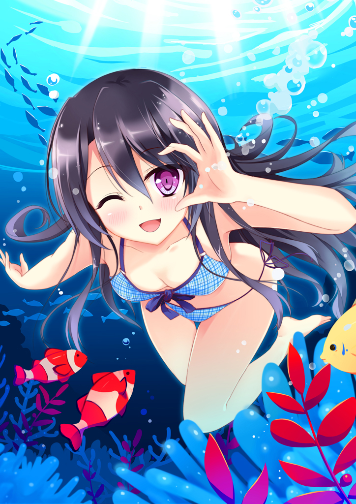 1girl, a-1_pictures, ascii_media_works, bikini, black_hair, cute, feijitian, fish