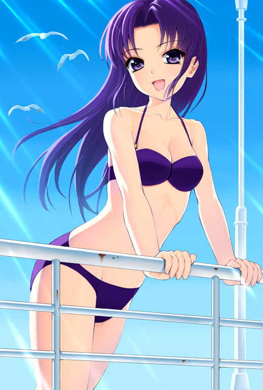 amane_satsuki, bikini, bird, happinesscharge_precure!, hikawa_iona, long_hair, precure, purple_hair, seagull, swimsuit, violet_eyes