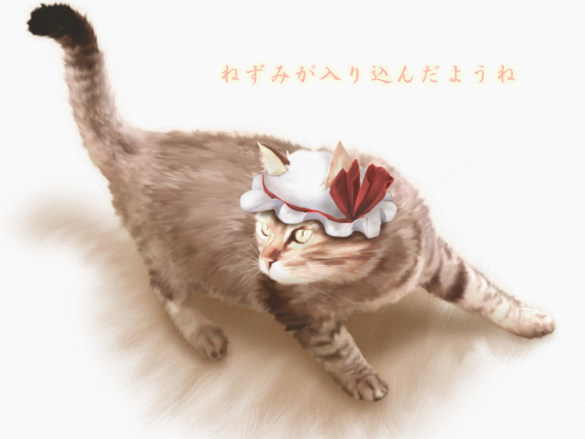1girl, animal_ears, animalization, cat, cat_ears, hat, highres, kagitsune_torii