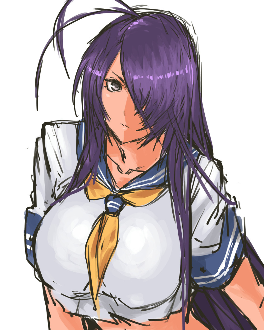 1girl, antenna_hair, breasts, grey_eyes, hair_over_one_eye, highres, ikkitousen, kan'u_unchou