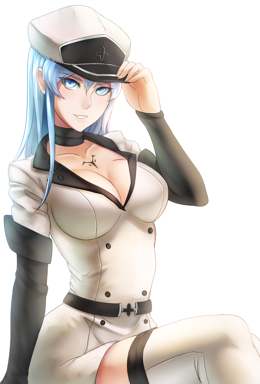 1girl, absurdres, adjusting_clothes, adjusting_hat, akame_ga_kill!, blue_eyes, blue_hair, breasts