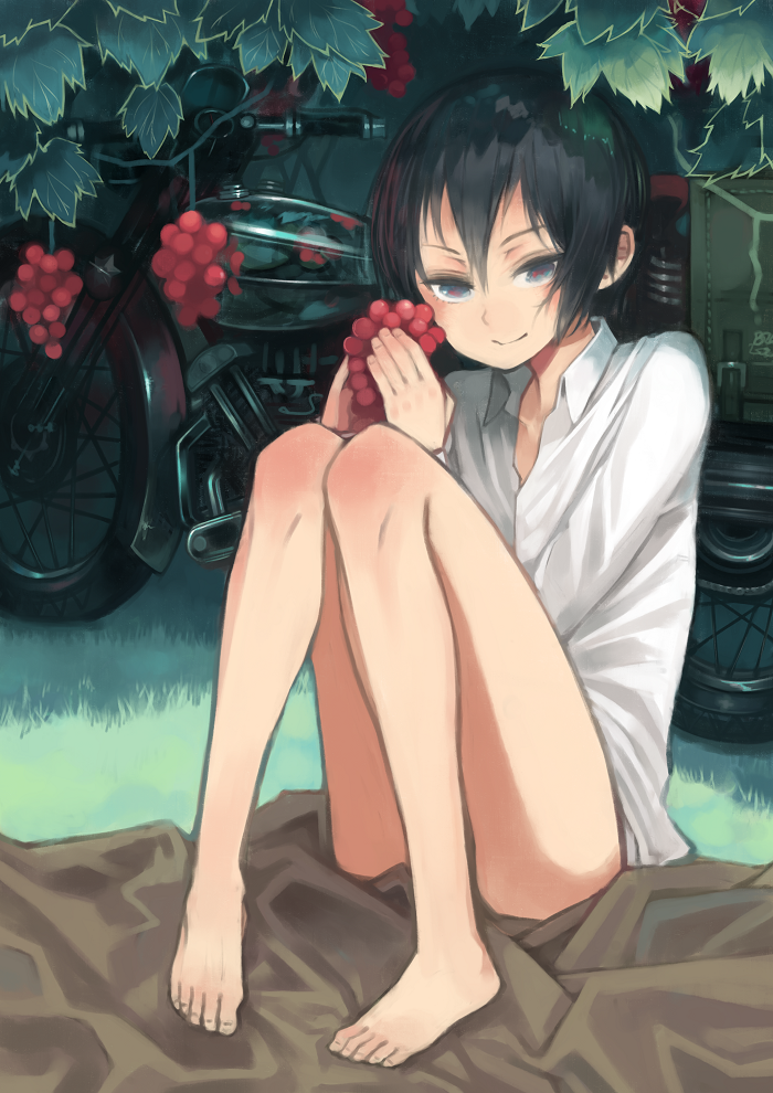 1girl, bottomless, food, fruit, grapes, hermes, kino, kino_no_tabi, leaf, long_sleeves, motor_vehicle, motorcycle, shirt, short_hair, sitting, smile, vehicle, white_shirt, window1228