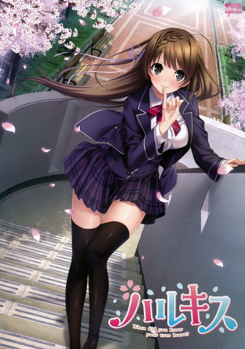 1girl, absurdres, black_legwear, breasts, brown_hair, cherry_blossoms, cherry_trees, finger_to_mouth