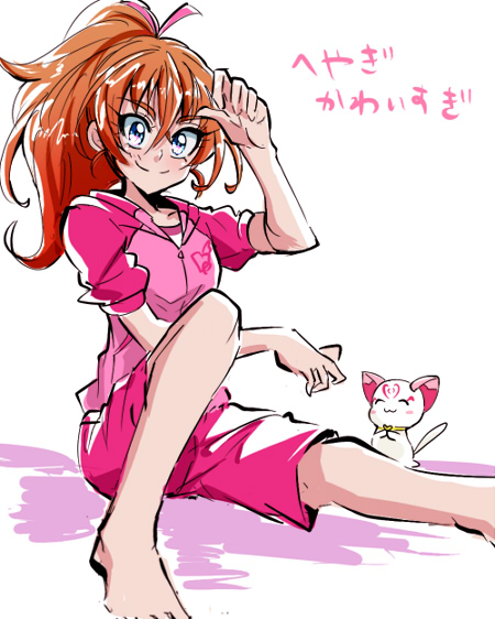 1girl, alternate_hairstyle, barefoot, biho_(tsuinku), blue_eyes, brown_hair, cat, houjou_hibiki