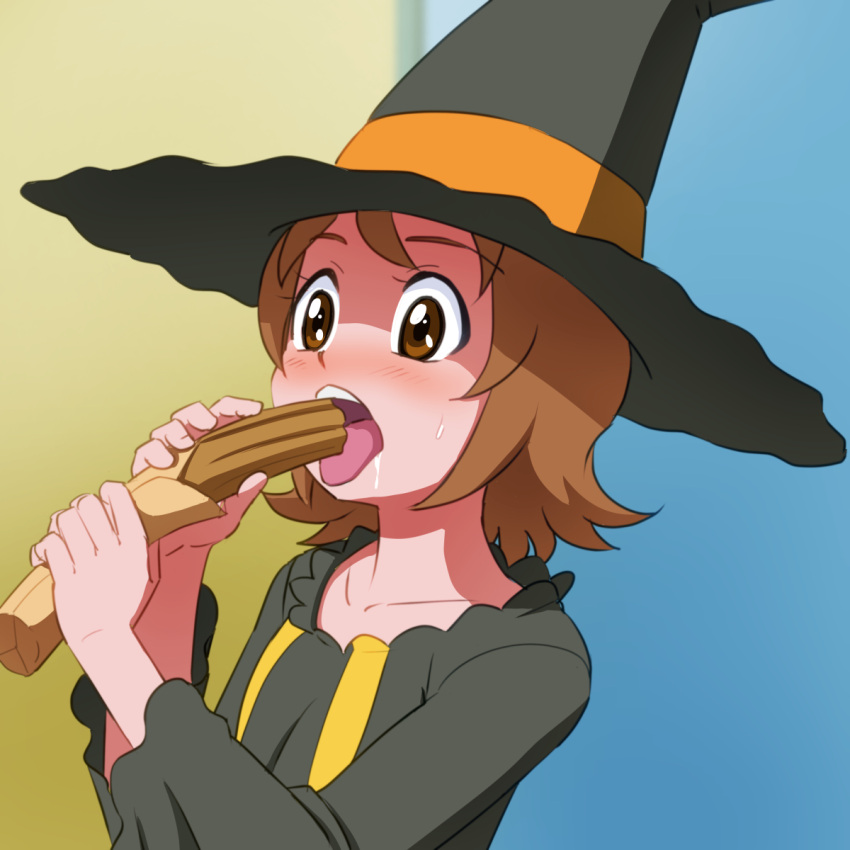 1girl, blush, brown_eyes, brown_hair, churro, happinesscharge_precure!, hat, highres