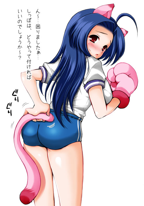1girl, animal_ears, ass, bloomers, blush, breasts, buruma, cat_ears