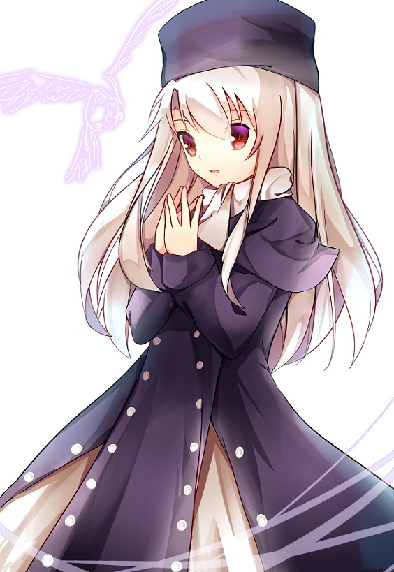 1girl, bird, fate/stay_night, fate_(series), hat, ice-light, illyasviel_von_einzbern, long_hair