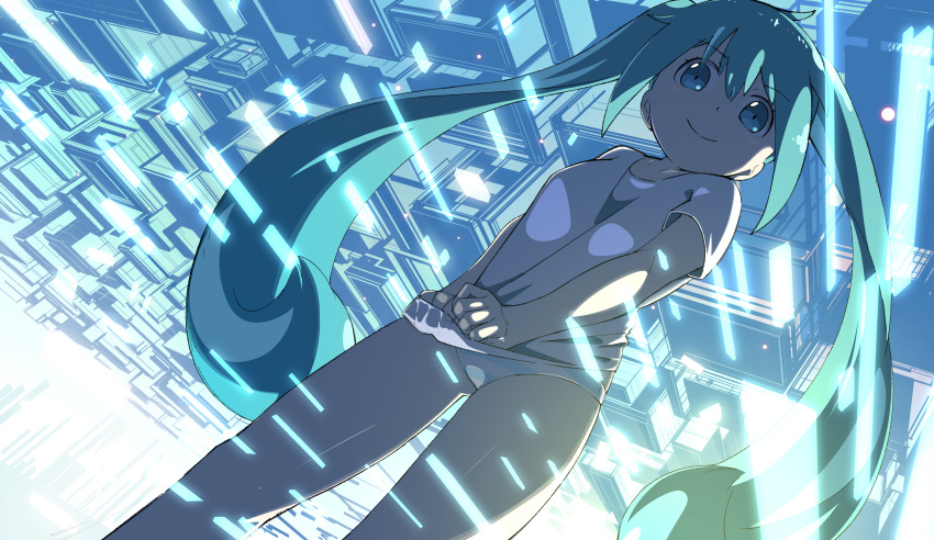 1girl, absurdres, green_eyes, green_hair, hatsune_miku, highres, long_hair, no_pants