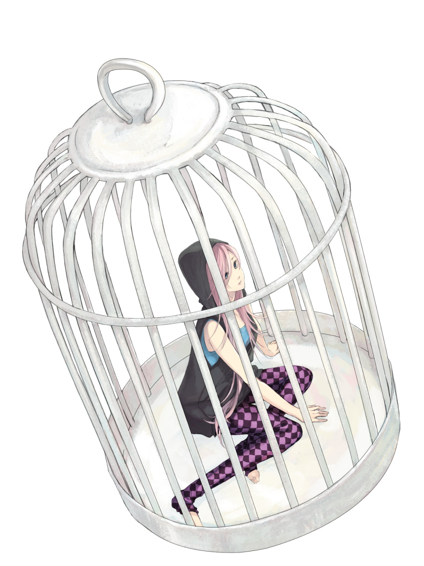 blue_eyes, cage, highres, hoodie, long_hair, megurine_luka, physalis, pink_hair, simple_background, sitting, solo, vocaloid