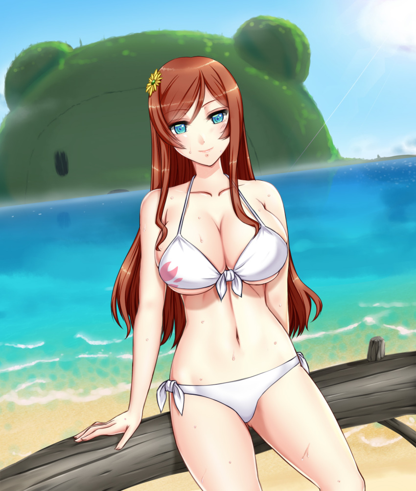 arm_support, beach, beargguy_iii, bikini, blue_eyes, breasts, brown_hair, cleavage
