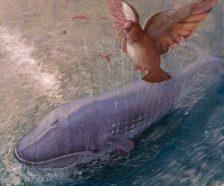 abe_(jump), bird, fail_whale, net, no_humans, ocean, realistic, twitter