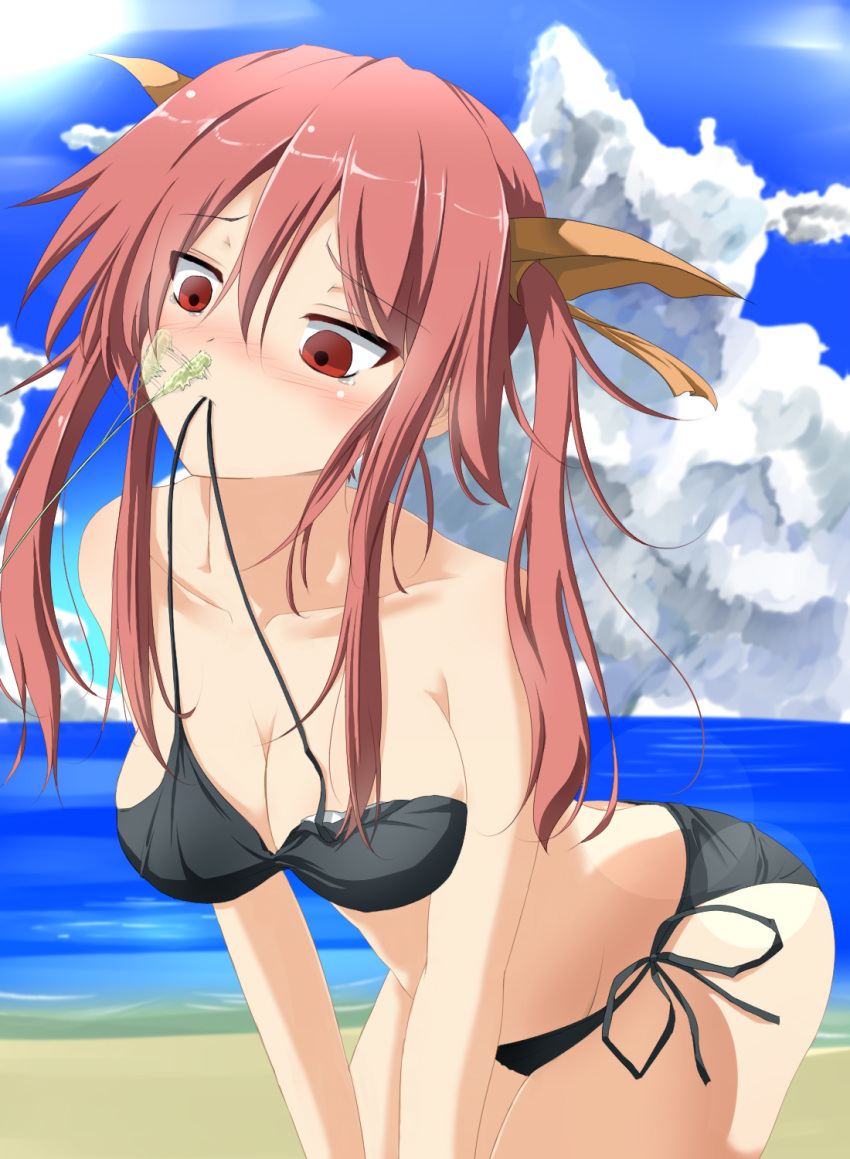 1girl, bare_shoulders, bikini, black_bikini, blush, cattail, clouds, collarbone