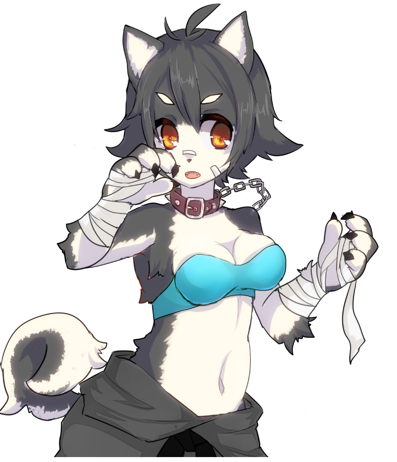 1girl, animal_ears, antenna_hair, bandages, bandaid, bandaid_on_nose, black_hair, blue_bra, bra, breasts, brown_eyes, claws, cleavage, clothes_around_waist, collar, dog_ears, dog_tail, dougi, fur, furry, makoto_(street_fighter), midriff, navel, paws, ri_yuka-shi, shirtless, short_hair, solo, strapless_bra, street_fighter, street_fighter_iv, tail, ultra_street_fighter_iv, underwear