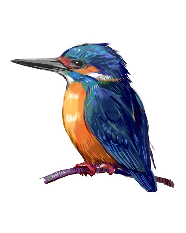 bird, kingfisher, no_humans, original, solo, tsuda_nanafushi