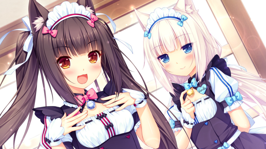 2girls, animal_ears, black_hair, blue_eyes, brown_eyes, cat_ears, chocola_(sayori), game_cg