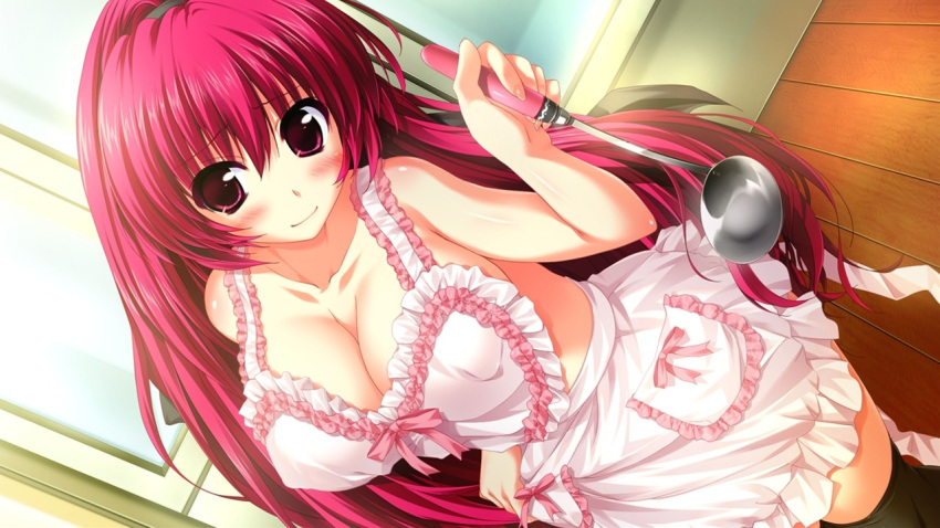 1girl, apron, artist_request, black_legwear, breasts, cleavage, holding, huge_breasts