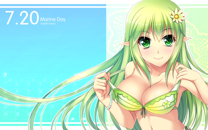 1girl, 2014, bikini, breasts, calendar, cleavage, elsword, green_eyes