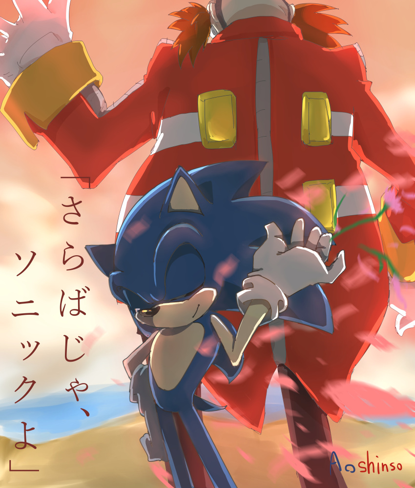 2boys, absurdres, ao_shinso, dr._eggman, facial_hair, flower, gloves, goggles