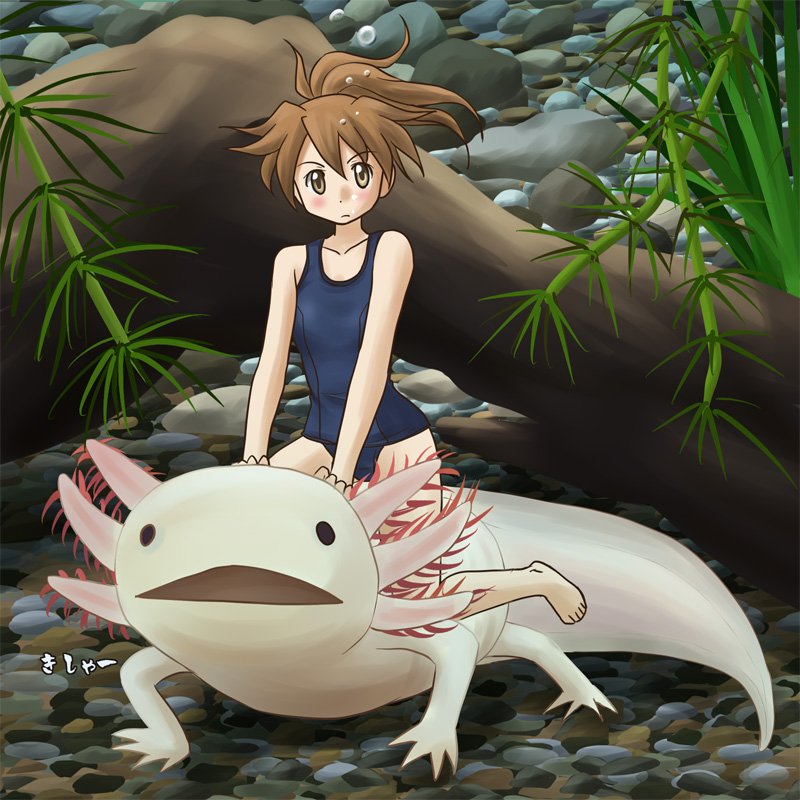 akolotl, barefoot, brown_eyes, brown_hair, bubble, feet, lielos, minigirl, one-piece_swimsuit, original, poni_child, poniko_(lielos), ponytail, riding, salamander, school_swimsuit, seaweed, solo, swimsuit, toes, underwater